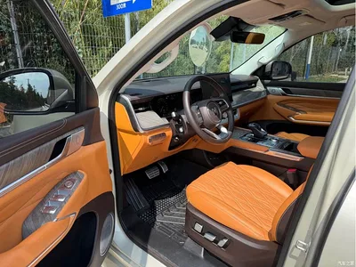 2022 Tank 500 3.0T Business Edition Zaojing 5-Seater, фото 4, лот 10344570