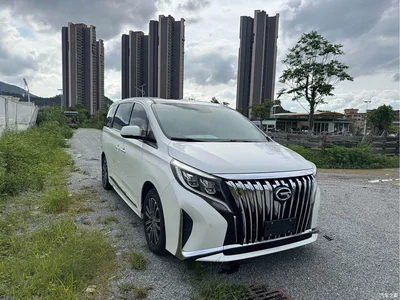 2021 GAC Trumpchi Trumpchi M8 Leading Show Series 390T Prestige Edition, фото 3, лот 10417606
