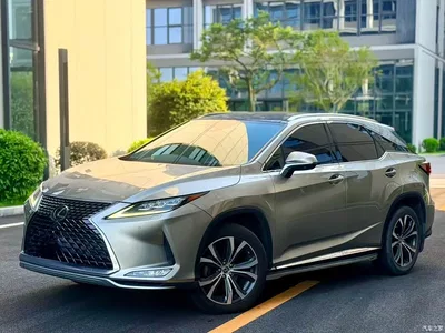 2020 Lexus RX Facelift 300 AWD Elegance Edition, фото 1, лот 10284831