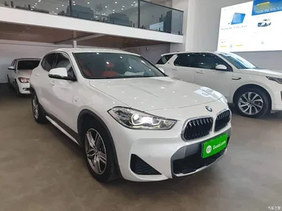 2020 BMW X2 sDrive25i Leading M Off-Road Package, фото 4, лот 10475652