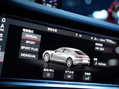 2021 Porsche Panamera Model Panamera 2.9T, фото 4, лот 10445740