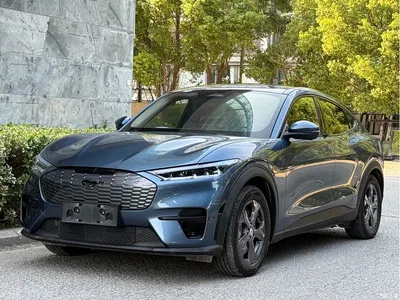 2021 Ford Mustang Mach-E Leap World RWD (Standard Range), фото 1, лот 10616692