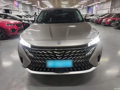 2023 Roewe RX5 1.5T Honor Slide Screen Edition, фото 3, лот 10340567