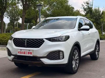 2020 WEY VV6 2.0T 2WD Smart Protection+, фото 1, лот 10450812