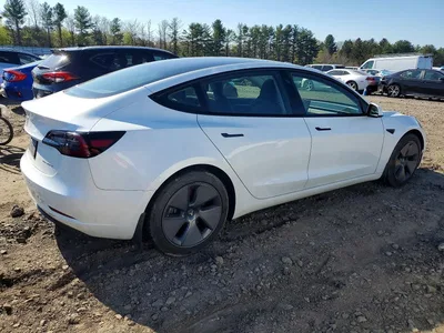 2023 TESLA MODEL 3, фото 3, лот 10664631
