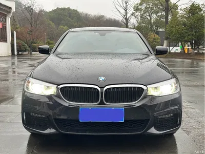 2019 BMW 5 Series 530Li Leading M Sport Package, фото 2, лот 10443913