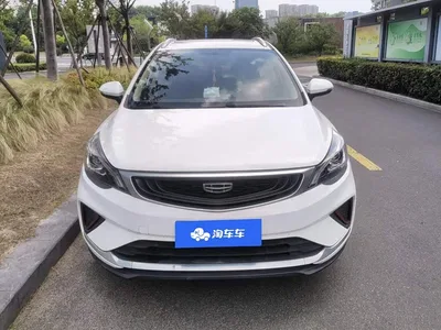 2020 Geely Emgrand GS 1.4T CVT Elegance, фото 2, лот 10304342