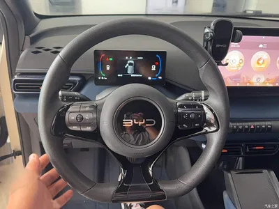 2024 BYD Seagull Glory Edition 305km Vitality Edition, фото 4, лот 10263024
