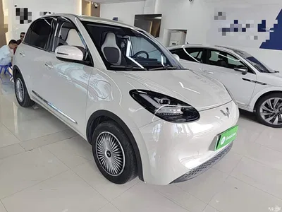 2023 Wuling Motors Wuling Bingo 203km Comfort Version, фото 4, лот 10371219