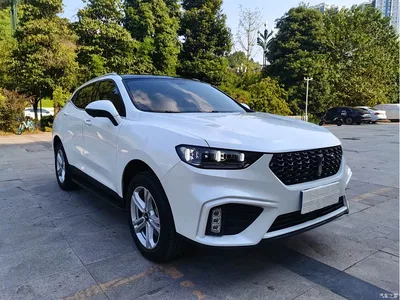 2020 WEY VV5 1.5T 2WD Style Pioneer, фото 3, лот 10451301