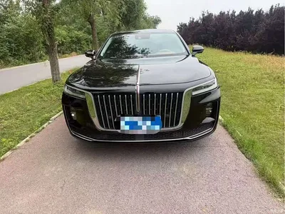 2020 Hongqi H9 2.0T Smart Connection Qi Xiang Edition, фото 2, лот 10285473