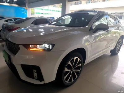 2020 WEY VV7 2.0T Super Luxury, фото 1, лот 10452157