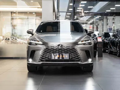 2025 Lexus RX 300 4WD Premium Edition, фото 2, лот 10312273