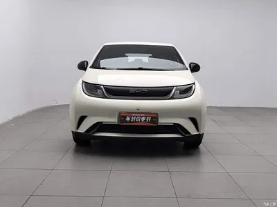 2025 BYD Dolphin 420km Freedom Edition, фото 3, лот 10511844