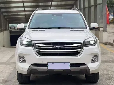 2020 Haval H9 2.0T Gasoline 4WD Premium 5-Seater, фото 3, лот 10287178