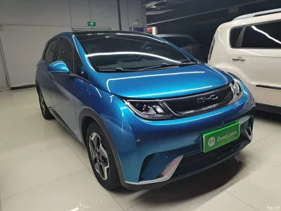 2021 BYD Dolphin Model 405km Fashion Edition, фото 4, лот 10264148