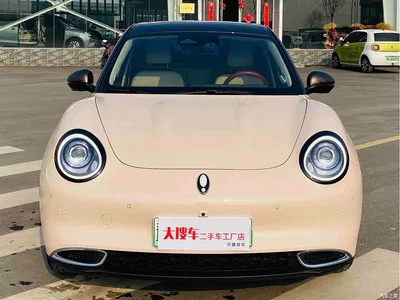 2021 Ora Good Cat 500km Long Range Poseidon Edition (NMC), фото 2, лот 10331564