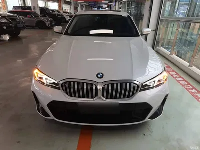 2024 BMW 3 Series 320Li M Sport Package, фото 3, лот 10457769