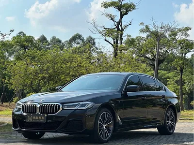 2023 BMW 5 Series 530Li Leading M Sport Package, фото 1, лот 11199148