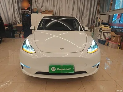 2021 Tesla Model Y Standard Range Rear-Wheel Drive, фото 3, лот 10889077