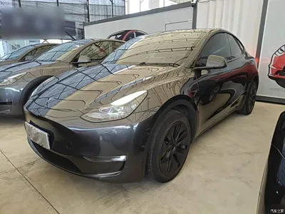 2024 Tesla Model Y Long Range AWD, фото 2, лот 11450102