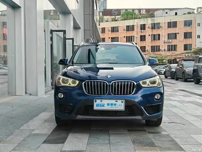2018 BMW X1 sDrive20Li Leading Model, фото 2, лот 10464950