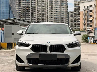2022 BMW X2 sDrive25i M Sport Package, фото 2, лот 10405646