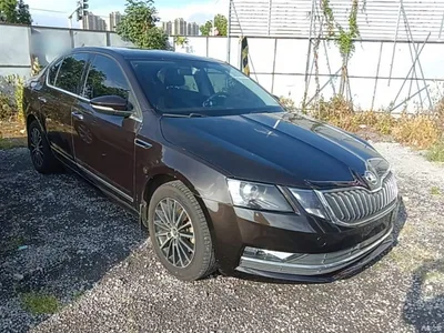 2019 Škoda Octavia 1.5L Automatic Smart Luxury Edition China V, фото 4, лот 10348239