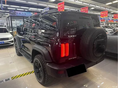 2023 Tank 300 Off-Road Edition 2.0T Challenger, фото 4, лот 10450984