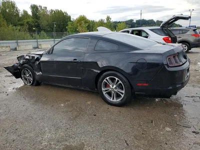 2014 FORD MUSTANG, фото 2, лот 10505431