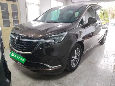 2021 Buick GL8 ES Landlord 653T Premium, фото 2, лот 11438873