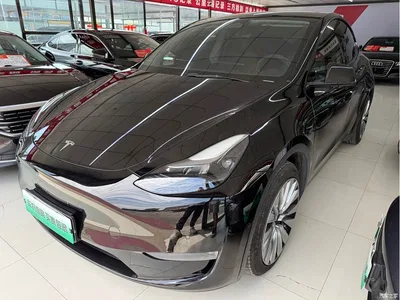 2021 Tesla Model Y Standard Range Rear-Wheel Drive, фото 1, лот 10405591