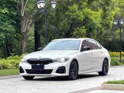 2020 BMW 3 Series 325Li M Sport Black Night Package, фото 1, лот 11566384