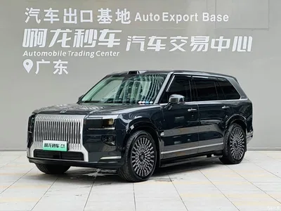 2025 ZEEKR 9X Standard Edition, фото 1, лот 10290812