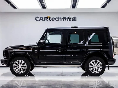 2019 Mercedes-Benz G-Class G 500, фото 3, лот 10280656