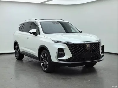 2022 Roewe RX5 MAX 1.5T Auto Promising Premium Edition, фото 4, лот 10819206