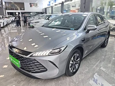 2025 BYD Qin PLUS DM-i Smart Drive Edition 120KM Surpassing Type, фото 2, лот 11503042