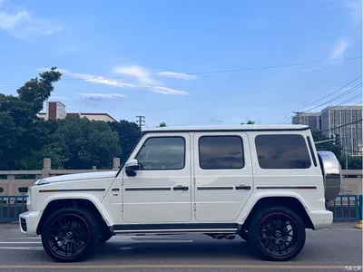 2019 Mercedes-Benz G-Class, фото 3, лот 10819086
