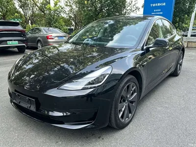 2025 Tesla Model 3 Model Rear-Wheel Drive Edition, фото 1, лот 10362137