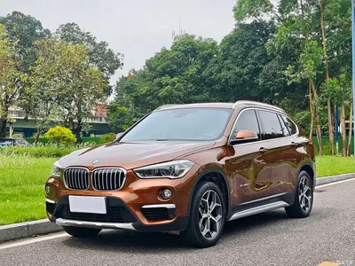 2016 BMW X1 sDrive20Li Luxury Model, фото 1, лот 10237344