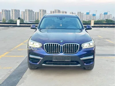 2020 BMW X3 xDrive25i Luxury Package, фото 2, лот 11102946