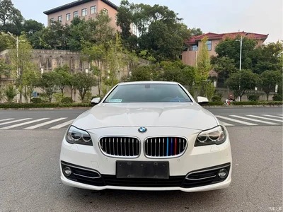 2014 BMW 5 Series 525Li Luxury Design Package, фото 3, лот 10812673