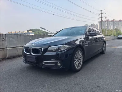 2017 BMW 5 Series 525Li Luxury Design Package, фото 1, лот 10830001