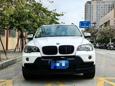 2009 BMW X5 (Import) xDrive30i Luxury, фото 2, лот 10464060