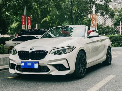 2015 BMW 2 Series (Import) 218i Convertible Coupe, фото 1, лот 11241088
