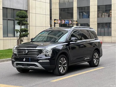 2017 GAC Trumpchi Trumpchi GS8 320T 2WD Luxury Smart Connect (7-seater), фото 1, лот 10416417
