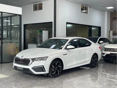 2023 Škoda Octavia Facelift PRO TSI280 Premium Edition, фото 1, лот 10349070