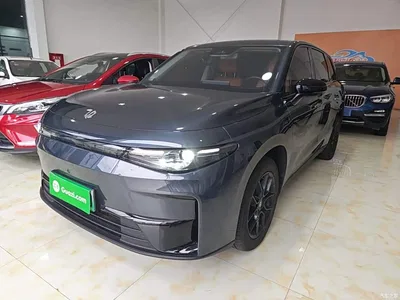 2024 Leapmotor C10 530 Comfort Edition, фото 1, лот 10511201