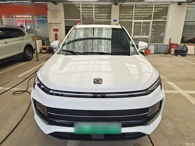 2021 Sehol E40X Model Golden Armor Edition, фото 3, лот 11153452