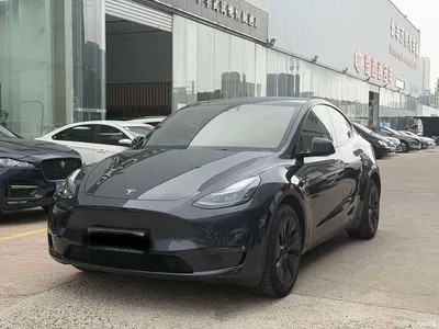 2024 Tesla Model Y Long Range AWD, фото 1, лот 11017294